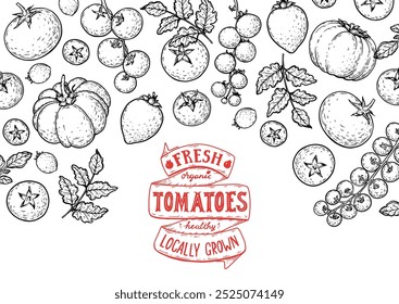 Tomatengestell. Handgezeichnete Abbildung. Tomaten-Gemüse-Skizze. Organische Tomate Design-Vorlage. Vektorgrafik. Design-Elemente der Verpackung.
