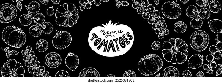 Tomatengestell. Handgezeichnete Abbildung. Tomaten-Gemüse-Skizze. Organische Tomate Design-Vorlage. Vektorgrafik. Design-Elemente der Verpackung.