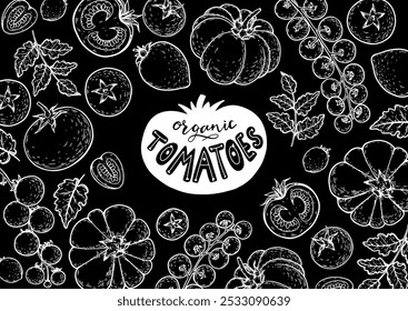 Moldura de tomates. Ilustração desenhada à mão. Esboço vegetal de tomate. Modelo de design de tomate orgânico. Ilustração vetorial. Elementos de design de pacote.