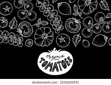 Tomatoes frame. Hand drawn illustration. Tomato vegetable sketch. Organic tomato design template. Vector illustration. Package design elements.