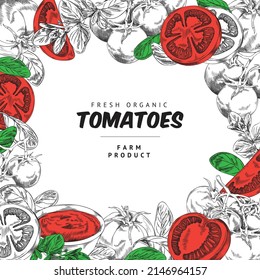 Tomatoes fresh organic vegetables and farm production banner, hand drawn vector illustration. Square banner or poster with tomatoes in classic vintage style.