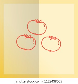 Tomatoes. Fruit Icon with line style in vector illustration.