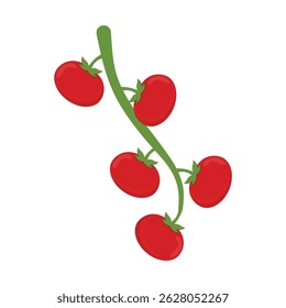 Tomatoes Fruit Icon Vector Design.