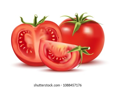 tomatoes group isolated on white color background. vector realistic illustration, vegetable. view from top.