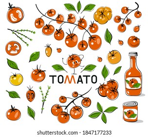 Tomatoes. Hand drawn tomatoes with black outline. Vector set of tomato branches. Set with hand drawn colorful doodle vegetables. Sketch style vector collection.