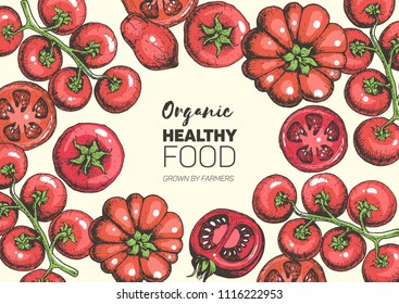 Tomatoes hand drawn illustration. Organic food design template. Colored vector illustration. Healthy food frame. Farm market concept. Tomato vegetable.