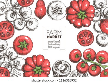 Tomatoes hand drawn illustration. Organic food design template. Colored vector illustration. Healthy food frame. Farm market concept. Tomato vegetable.