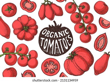 Tomatoes hand drawn illustration. Organic tomato design template. Vector illustration. Healthy food frame. Ketchup package design elements. Tomato vegetable.