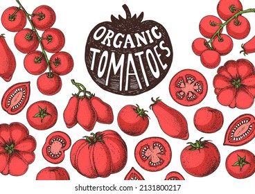 Tomatoes hand drawn illustration. Organic tomato design template. Vector illustration. Healthy food frame. Ketchup package design elements. Tomato vegetable.