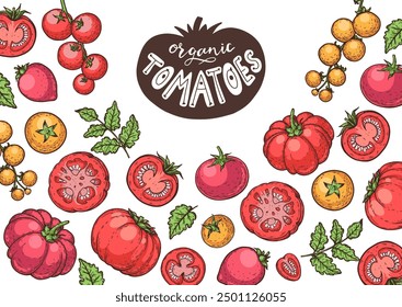 Tomatoes hand drawn illustration. Organic tomato design template. Vector illustration. Healthy food frame. Ketchup package design elements. Tomato vegetable.