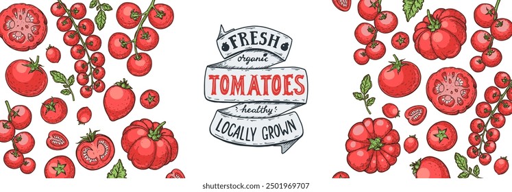 Tomatoes hand drawn illustration. Organic tomato design template. Vector illustration. Healthy food frame. Ketchup package design elements. Tomato vegetable.