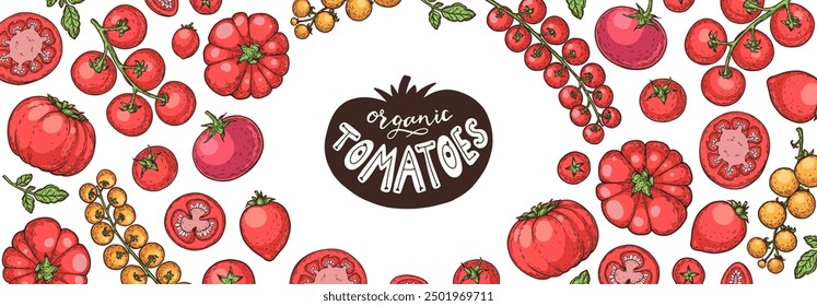 Tomaten handgezeichnete Illustration. Organische Tomate Design-Vorlage. Vektorgrafik. Gesunde Ernährung Rahmen. Designelemente für Ketschup-Pakete. Tomatengemüse.