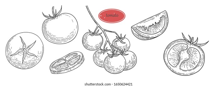 Tomatoes hand drawn illustration set. Organic food design template.Farm market concept. Tomato vegetable.Vintage graphics. Vegetarian menu.. Tomatoes, slices, halves, bunch isolated on white backgroun