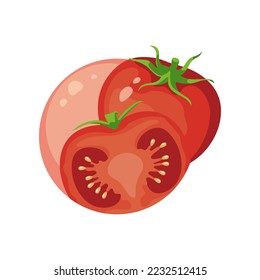 Tomatoes for homemade facial mask vector illustration. Natural ingredient for DIY scrub, face or hair mask, tomato on white background. Skin care, nature concept