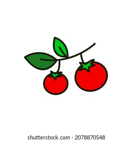 el icono de los tomates. tomates rojos con fondo blanco