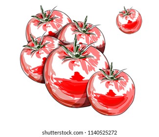 tomatoes image on white background, isolated health vegetarianism vegetables. vector illustration.