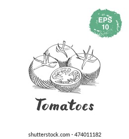 Tomatoes ink sketch drawing.