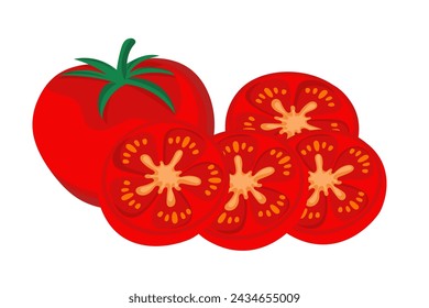 tomates aislados sobre fondo blanco ilustración vectorial