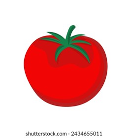 tomatoes isolated on white background vector illustration