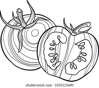 Tomatoes isolated on white line illustration.   Vegetarian or vegan food hand-drawn vector image for menus, restaurants, cafes, grocery stores. Organic fresh vegetable simplistic graphic picture.