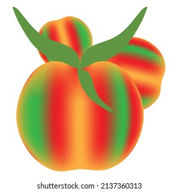 Tomatoes isolated on white. Tomato with drops