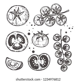 Tomatoes isolated set. Hand drawn vector illustration. Can be used for street festival, farmers market, country fair, shop, menu, cafe, restaurant, poster, banner.