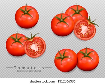 Tomatoes isolated Vector realistic. Detailed 3d illustration template for label, icon, product placements