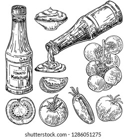 Tomatoes and ketchup set. Ketchup bottle, tomato sauce in a plate, branch, half and slice and slice tomatoes. Vector sketch illustration.