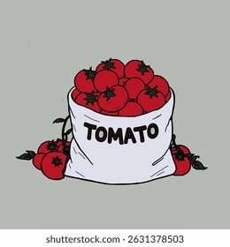 Tomatoes in large quantities are collected in a sack. A sack with the word tomato written on it and tomatoes scattered around the edges.Tomatoes in a canvas bag. Hand drawn for kids coloring book.