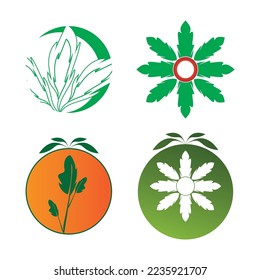 tomatoes and leaf icon vector illustration template design