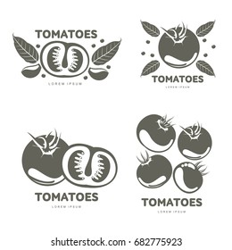 Tomatoes logo templates for your design. Tomatoes, marinade, black peppercorn, bay leaf, brine. Tomatoes badges, labels. Vector illustration isolated on white background