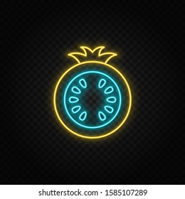 tomatoes neon icon. Blue and yellow neon vector icon.