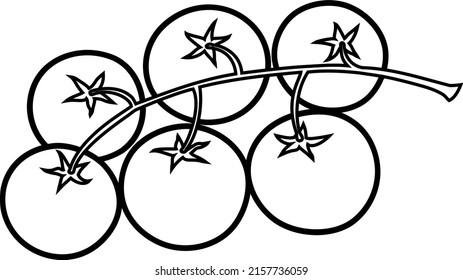 Tomates en una rama. Cereza. Seis verduras redondas en el tallo. Icono. Gráficos vectoriales. Contorsión negra.