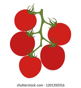 Tomatoes on branch. Isolated on white. Vector illustration.