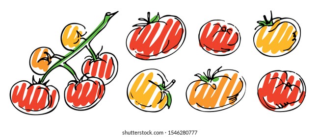 tomatoes on a branch and set of tomatoes hand-drawn felt-pen doodle sketch on white background