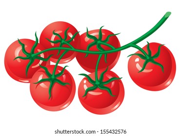 Tomatoes On The Vine