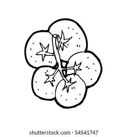 tomates en el dibujo de vid
