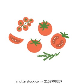 Tomatoes on the vine. Tomatoes vine isolated vector element.