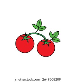 Tomatoes on vine with leaves fresh vibrant red veggie design Vector illustration