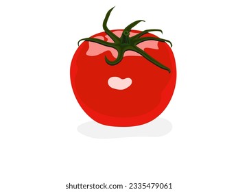 Tomatoes on a white background.