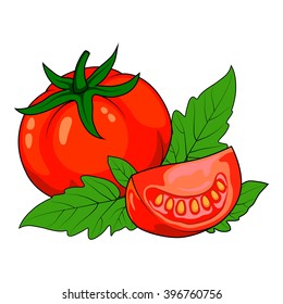 Tomatoes on white background
