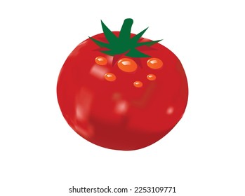 Tomatoes on white background collection vector image. Tomato PNG Picture, Tomato Vector, Food, Vegetables, Fruits PNG Image For Free Download.