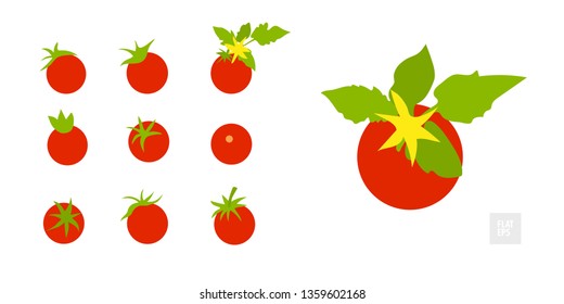 Tomatoes on a white background set. Very simple flat style. Different tomatoes in assortment with leaves and yellow flowers. Can be used as an icon, symbol, and in other simple visualizations