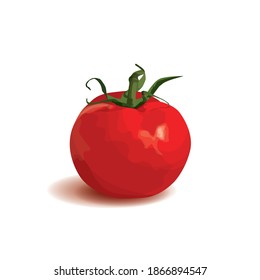 Tomatoes on a white background. Vector illustration         