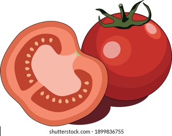 Tomates de fondo blanco. Ilustración vectorial.Icono plano de tomates sobre fondo transparente blanco. 