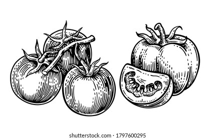 tomatoes on a white background in vintage 