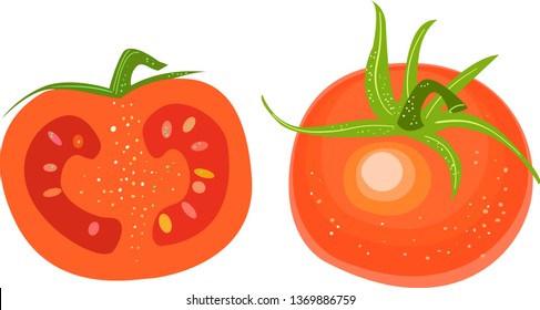 Tomatoes, one full and one half-tomato with green leaves and seeds inside, isolated. Vector image of food (vegetables), suitable for menus, restaurants, cook books for vegetarian and organic cuisine.