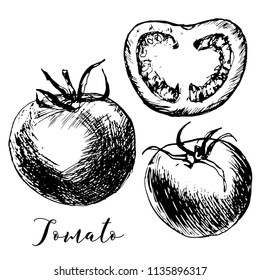 Tomatoes painted by hand with ink and a pen. For your unique design, menus, restaurants, cafes, organic products and much more