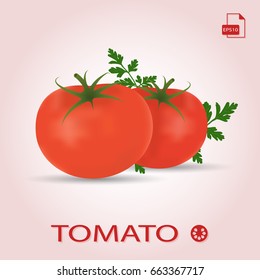 Tomatoes with parsley. Isolated vegetables on background. Vector illustration