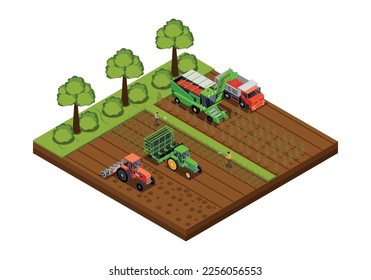 Isoometrische Zusammensetzung der Tomatenproduktion mit isolierter Sicht auf das Feld mit LKWs und Erntemaschinen, die Gemüse verladen, Vektorgrafik